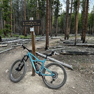 2019 Ibis Mojo 3 Teal