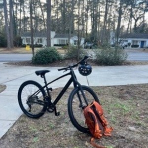 2026 Trek Dual Sport 3 Gen 5 Green