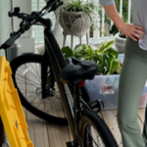 2026 Trek Dual Sport 3 Gen 5 Green