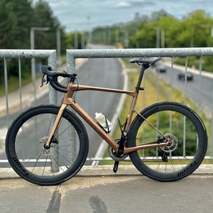 2023 BMC Roadmachine Brown