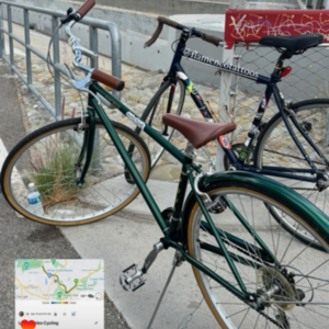 2010 Fuji Sl1 Rc Fuji/Servetto Green