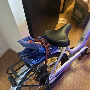 2025 Electra Townie Go! S Step Thru ML White