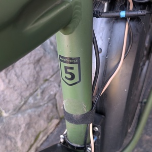 2024 Rad Power Bikes Rad Rover 5 Green and Black