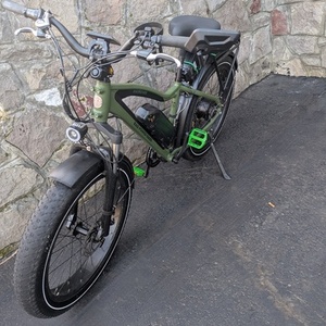 2024 Rad Power Bikes Rad Rover 5 Green and Black