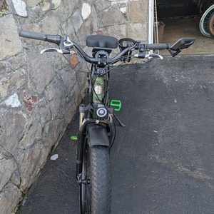 2024 Rad Power Bikes Rad Rover 5 Green and Black