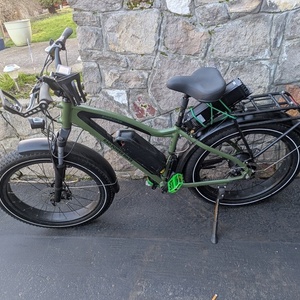 2024 Rad Power Bikes Rad Rover 5 Green and Black