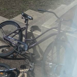 2024 Capix Women's Valencia Cruiser Purple