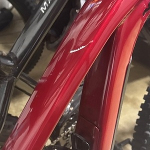 2025 Trek Fuel EX 8 GX AXS L 29 Rage Red Gen 6 Black