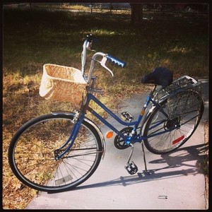 1971 Schwinn Breeze  Blue