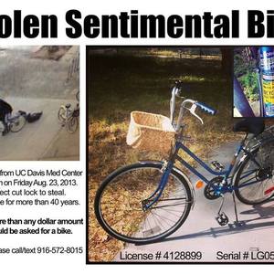 1971 Schwinn Breeze  Blue