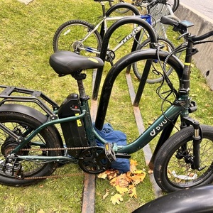 DYU DYU 20" 4.0 Fat Tire Electric Bike fo... Green