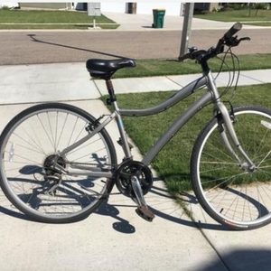 2017 Specialized Women's Globe Vienna 2 Silver or Gray