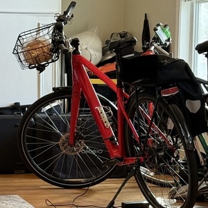 2020 Trek FX 2 Red