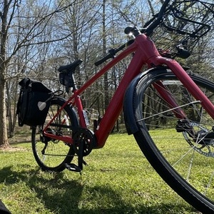 2020 Trek FX 2 Red
