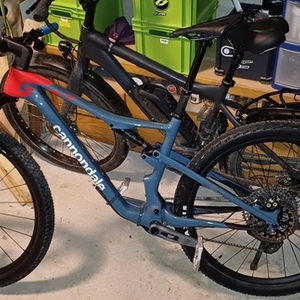2024 Cannondale scalpel carbon lefty Blue and Red
