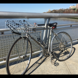 1972 Fuji Ace Silver or Gray