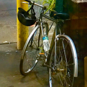 1972 Fuji Ace Silver or Gray