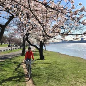 1972 Fuji Ace Silver or Gray