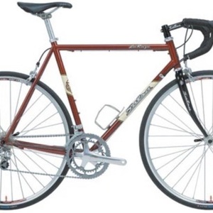 2010 Salsa La Raza Red and White