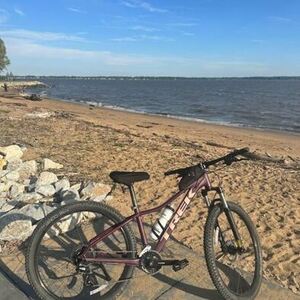 2020 Trek Marlin 6 Purple and Pink