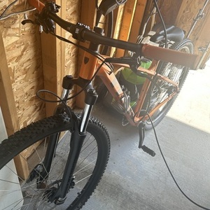 Trek Orange