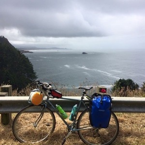 2011 Salsa Casseroll Blue