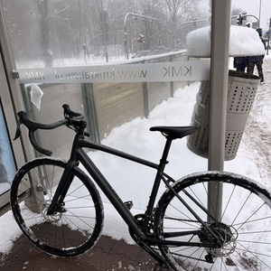 2024 Trek Doman al2 gen 4 Black