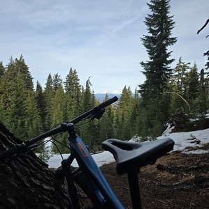 2019 Ibis ripmo Blue