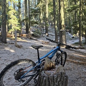 2019 Ibis ripmo Blue
