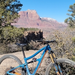 2019 Ibis ripmo Blue
