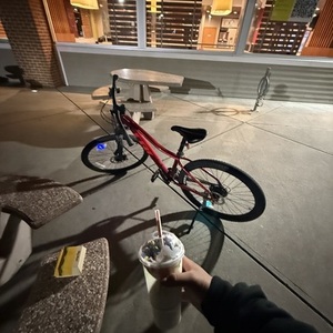 2025 Trek Red