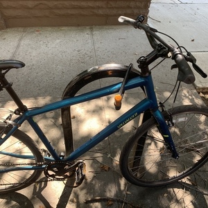 2018 Specialized Alibi Teal
