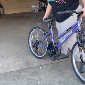 Huffy Purple