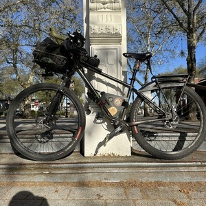 2022 Priority Bicycles 600x Silver, gray or bare metal