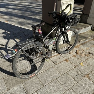 2022 Priority Bicycles 600x Silver, gray or bare metal