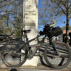 2022 Priority Bicycles 600x Silver, gray or bare metal