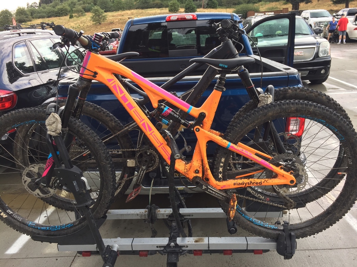 2019 intense recluse