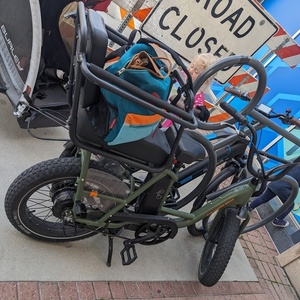 2024 Rad Power Bikes Rad Runner Green