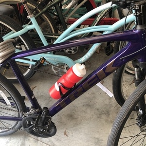 Trek Purple