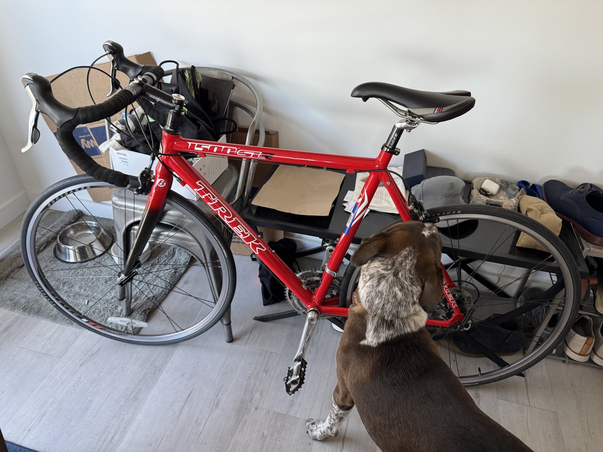 Bike photo