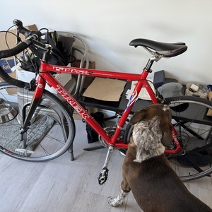 Trek 1500 Red
