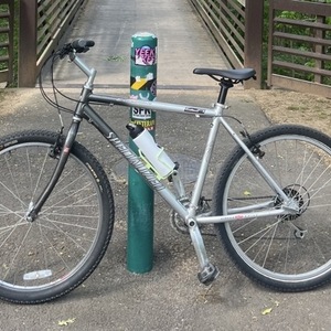2026 Specialized Expedition Silver, gray or bare metal
