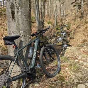 2021 Canyon bicycles Pathlite:ON 6 Green