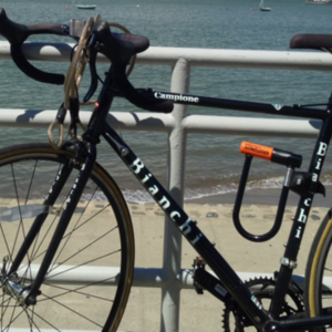 2013 Bianchi Campione S3  Black