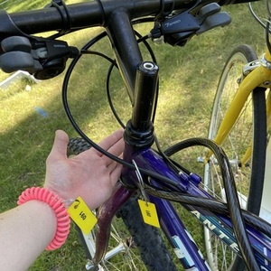Trek Purple