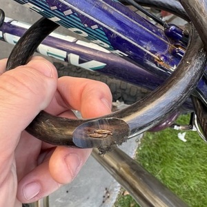 Trek Purple