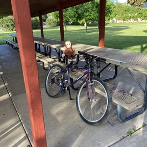 Trek Purple