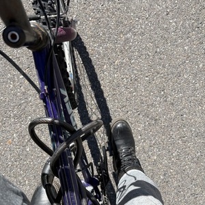 Trek Purple