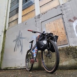 Trek Sawyer Silver, gray or bare metal