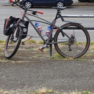 Trek Sawyer Silver, gray or bare metal